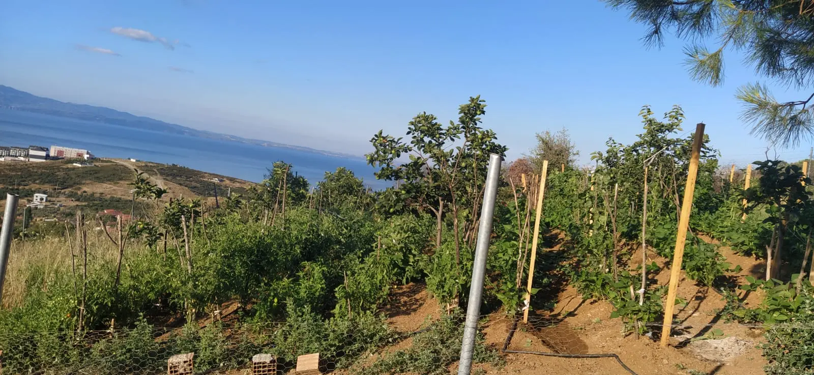 Yalova in Turkey